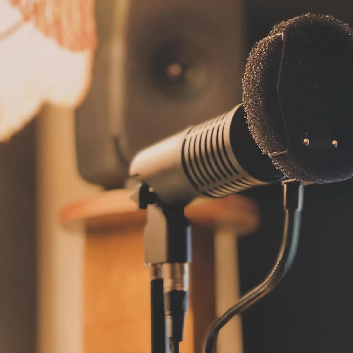 Podcast Processing