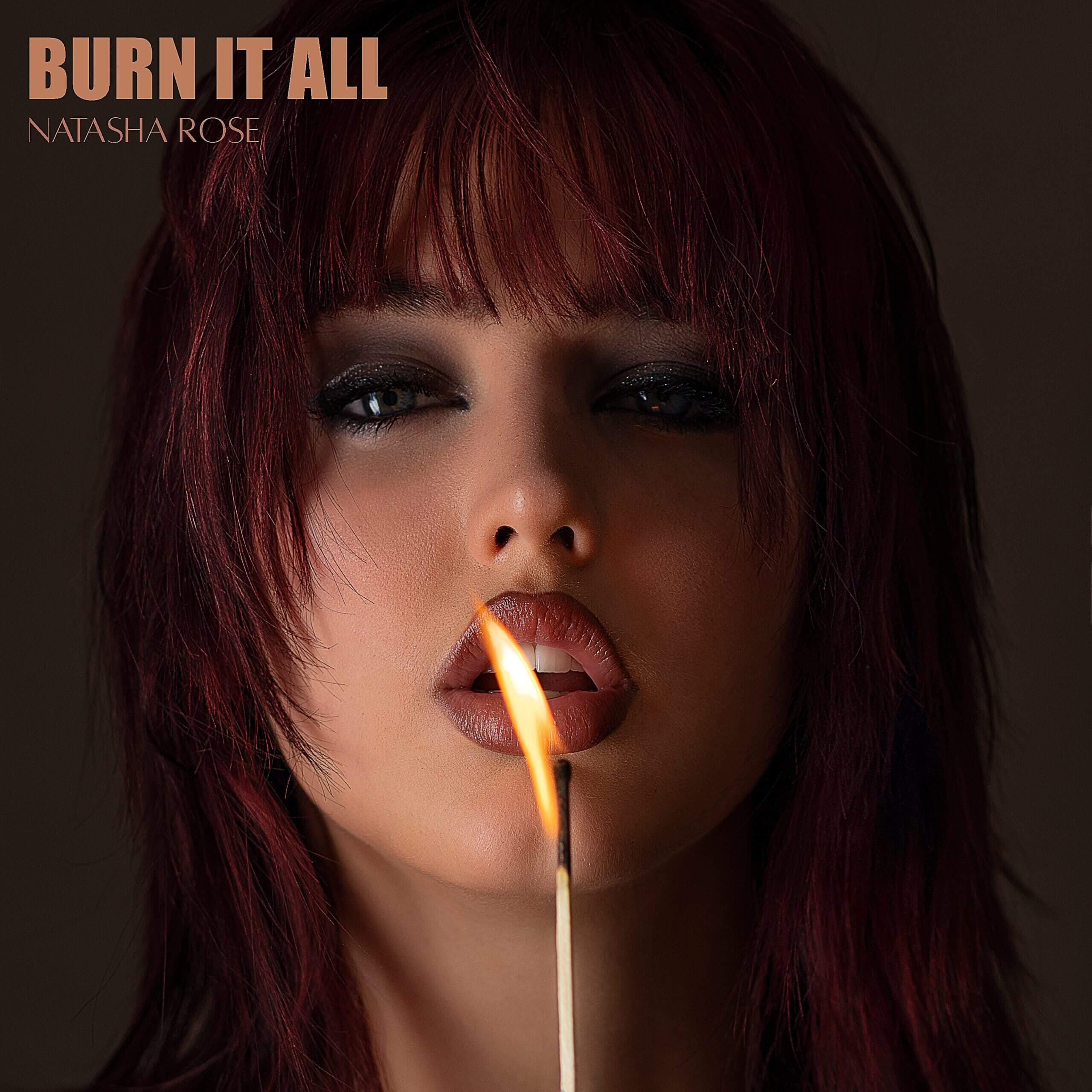 Burn It All artwork